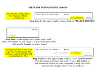 A Guide to download files from Zenfolio R1