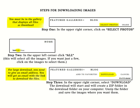 A Guide to download files from Zenfolio R1