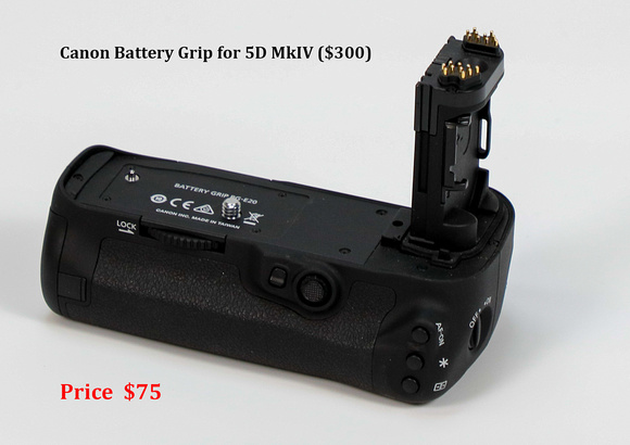 Sale-  Canon Mk4 battery power grip_